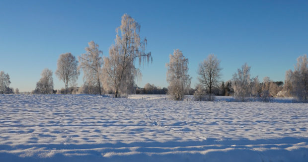 Snö, sol och kyla i Sverige