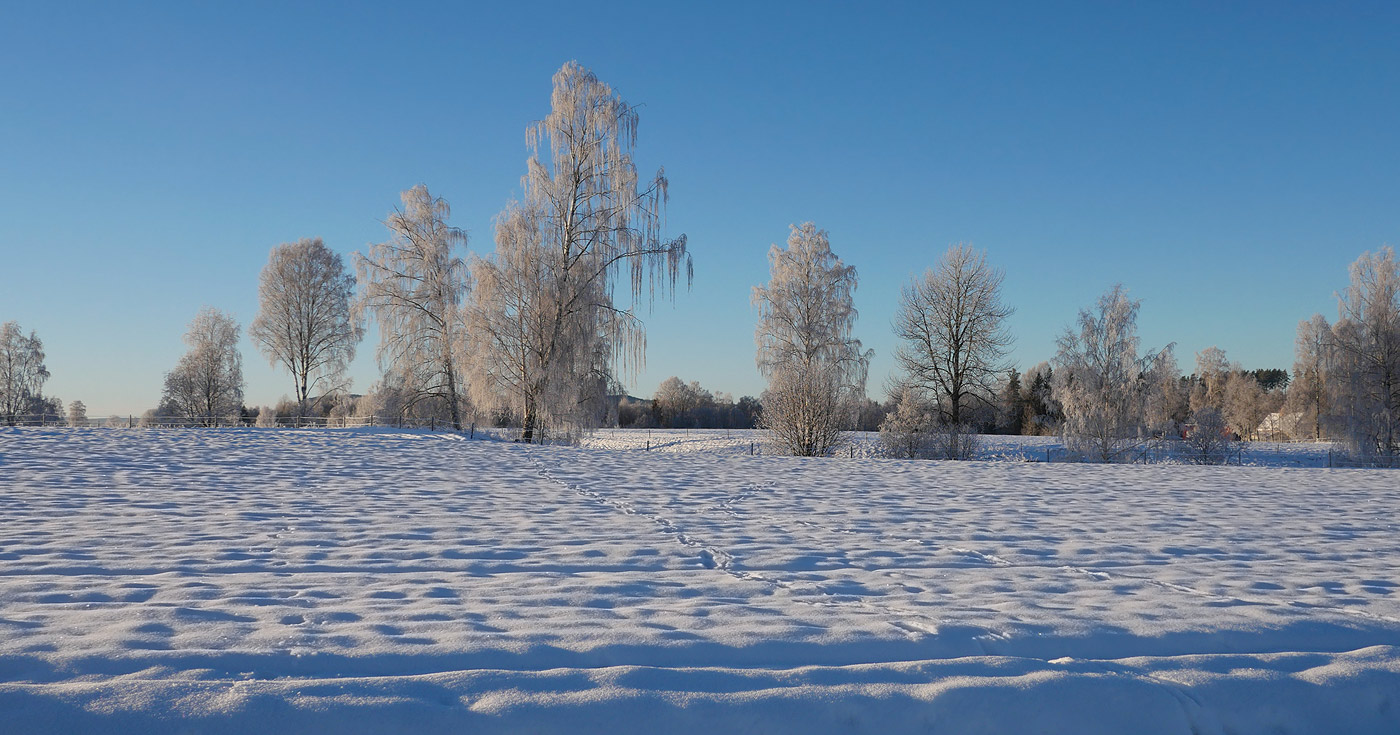 Snö, sol och kyla i Sverige